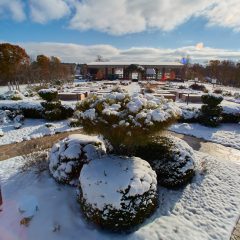 Main Grounds