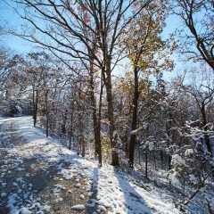 Gravel Road